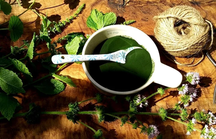 Jak bezpiecznie suplementować chlorellę? Podstawowe zasady