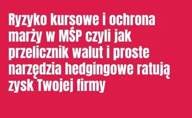 Obraz do artykułu: Ryzyko kursowe i ochrona marży w MŚP czyli jak przelicznik walut i proste narzędzia hedgingowe ratują zysk Twojej firmy