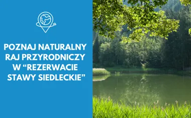 Poznaj naturalny raj przyrodniczy w Rezerwacie Stawy Siedleckie