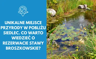 Unikalne miejsce przyrody w pobliżu Siedlec