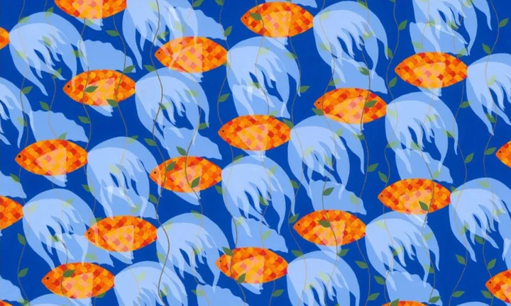 Harmonizm i kolor w Siedlcach - Justyna Harris prezentuje "Ginący świat