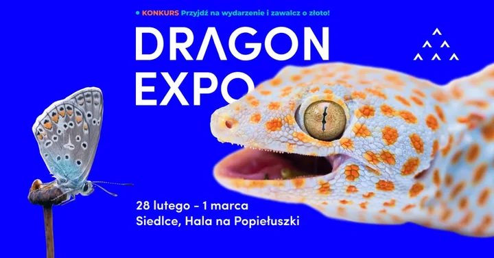 Grafika promocyjna wydarzenia Dragon Expo / Siedlce — terrarystyczno-botaniczne spotkanie z egzotyką