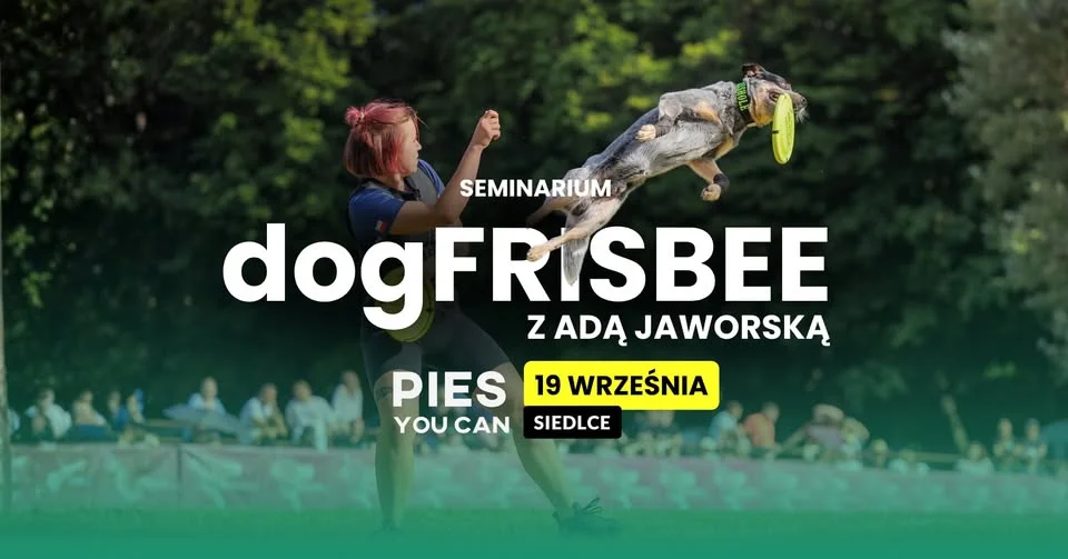 Grafika promocyjna wydarzenia Seminarium dogfrisbee z Adą Jaworską – Siedlce
