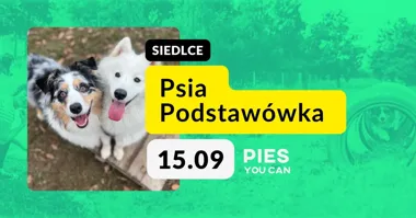 Psia Podstawówka – zajęcia we wtorki