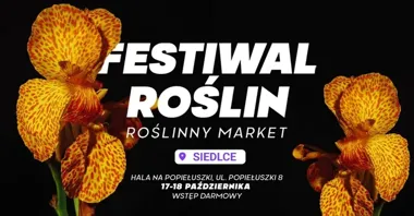 Siedlce zazielenią się na weekend - Festiwal Roślin wraca na Popiełuszki