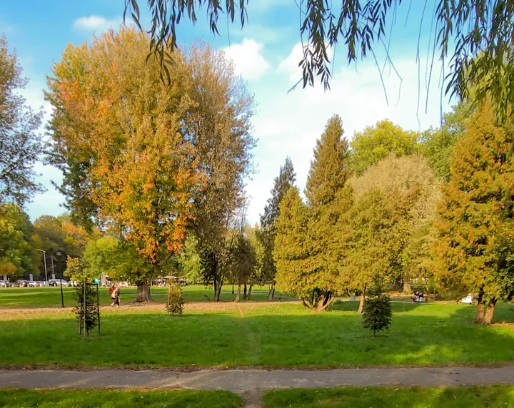 Trzy zbiorniki i park linowy powstaną na skwerze w Siedlcach