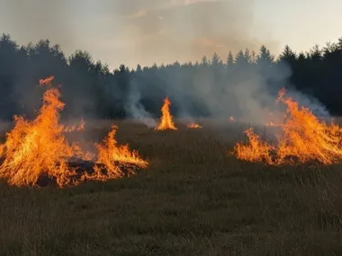 Kilka sekund wystarczy - wypalanie traw zamienia porządki w akcję ratunkową