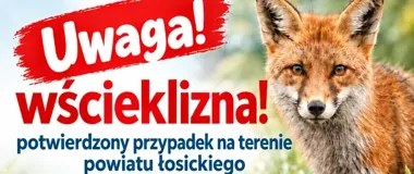 Pierwsze ognisko wścieklizny na Mazowszu w tym roku. Dotyczy powiatu łosickiego